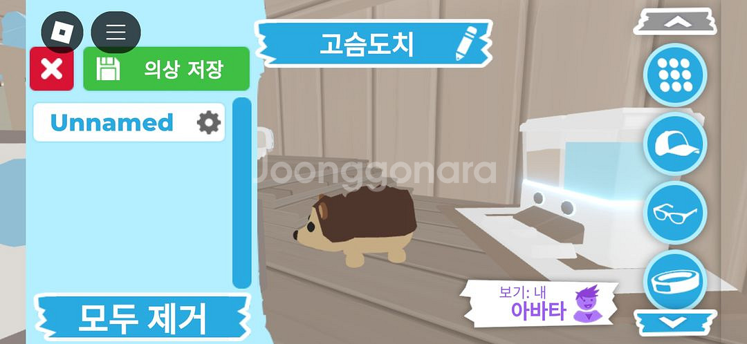 입양하세요 펫 고슴도치--1