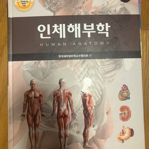 인체해부학 현문사 6판