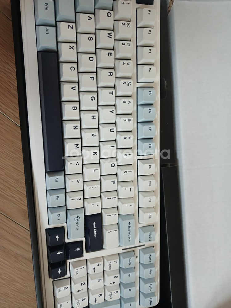 독거미 f99 경해축 키보드--1