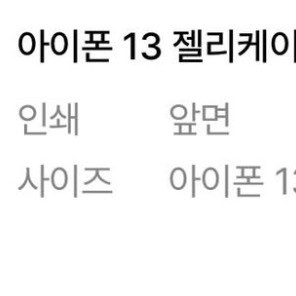 아이폰13 케이스 국민의힘