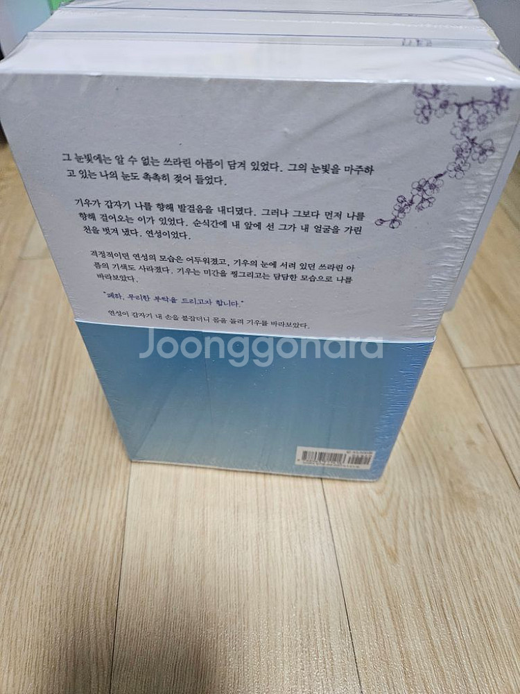 경세황비 세트 로맨스--1