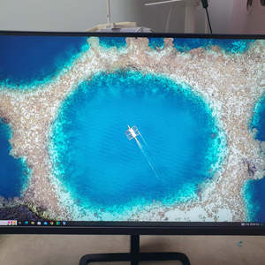 32인치 QHD 144hz IPS 모니터 팝니다