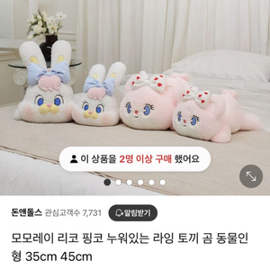 모모레이 라잉 쿠션인형