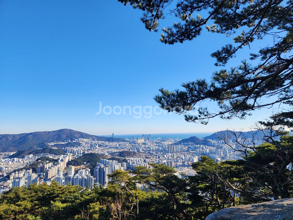블로그 임대 구합니다--0