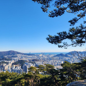블로그 임대 구합니다