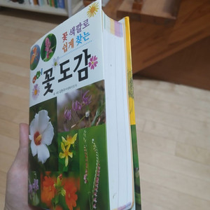 꽃도감(식물도감)