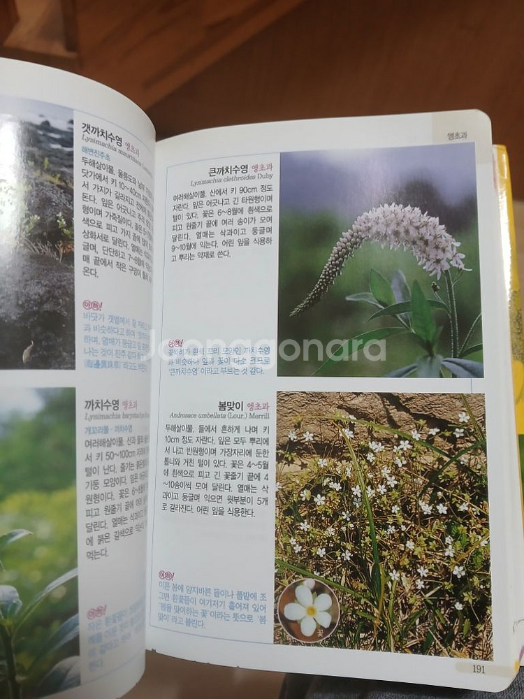 꽃도감(식물도감)--2