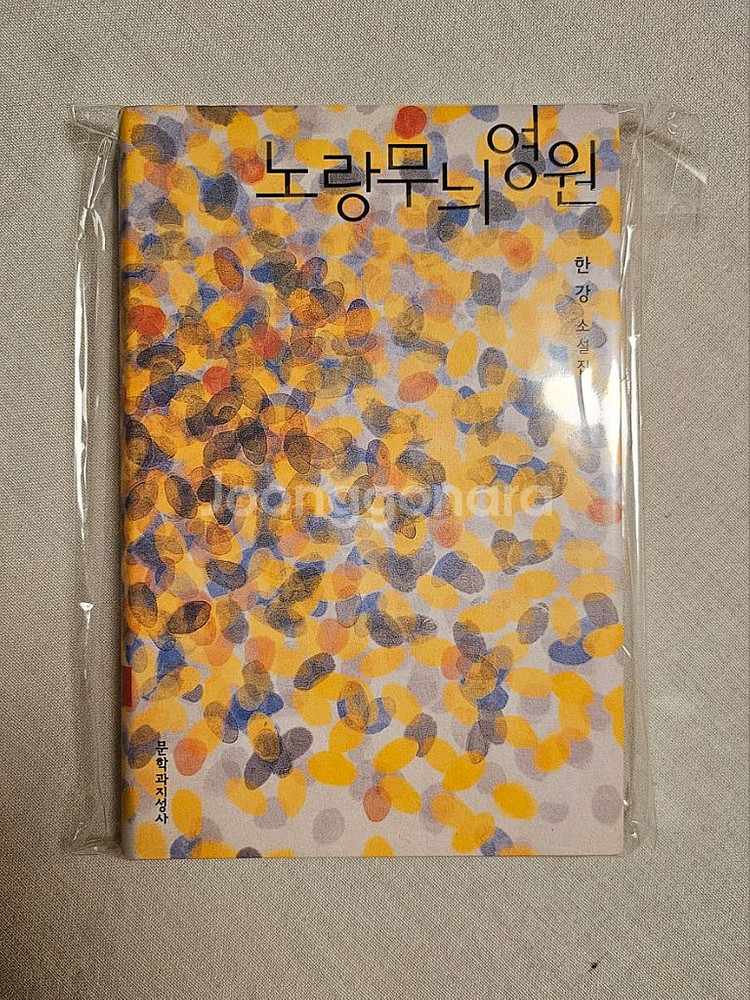 한강/소설 노랑무늬 영원--7