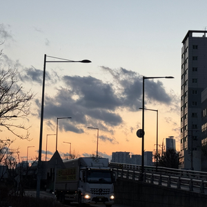 서울 용산 애플뮤직, 올리버 lp 블루레이 대신