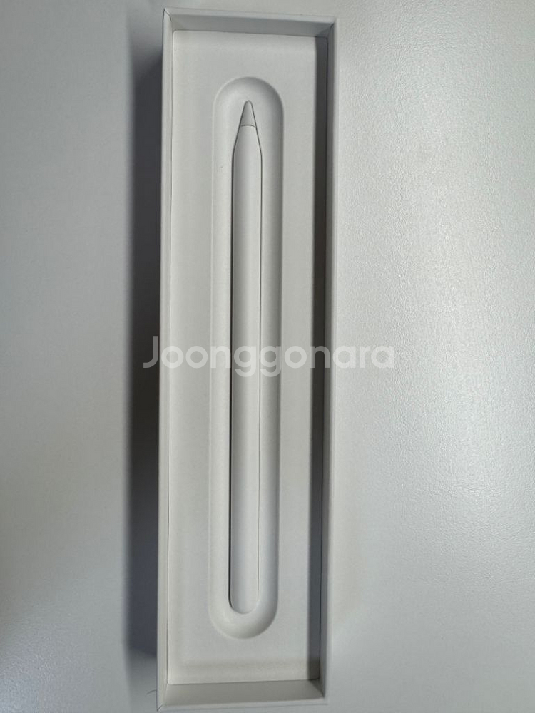애플펜슬 2세대--1