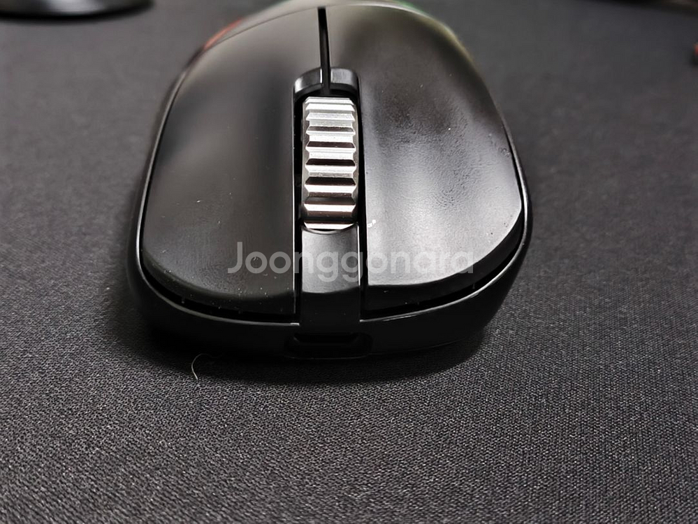 펄사 xlite v3 es size 2--1