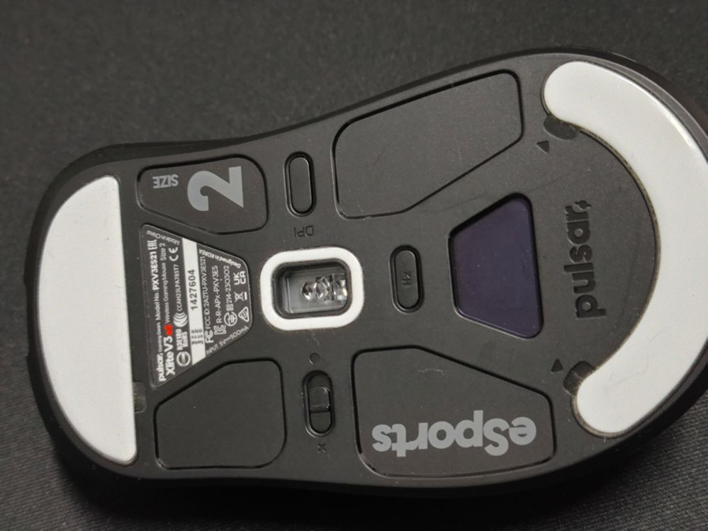 펄사 xlite v3 es size 2--4