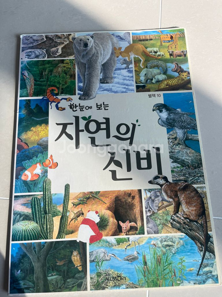 교과서가 보이는 자연의 신비--2