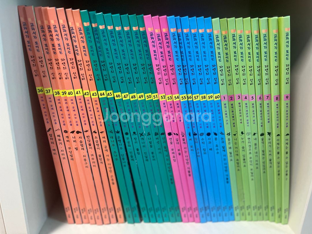 교과서가 보이는 자연의 신비--1