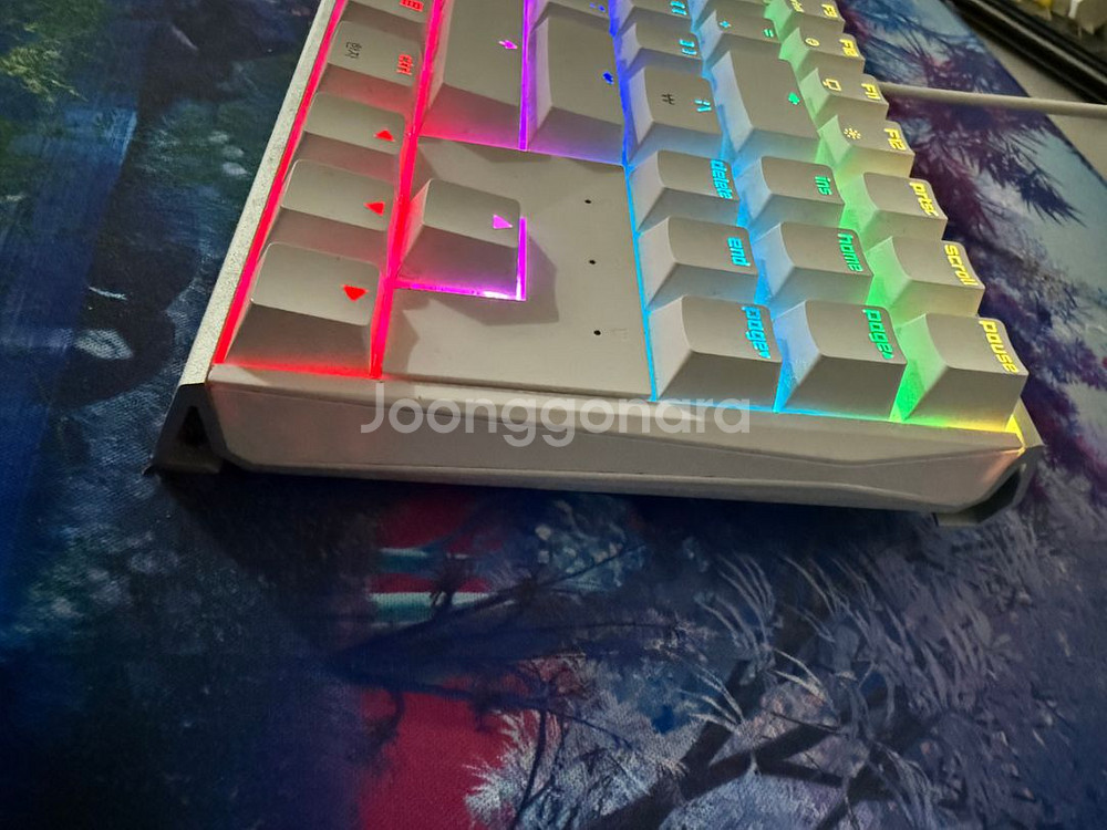 체리 mx board 3.0s tkl 갈축 화이트--2