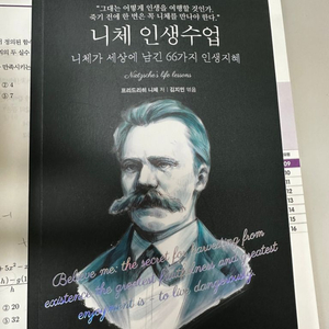 니체 인생수업 팔아오