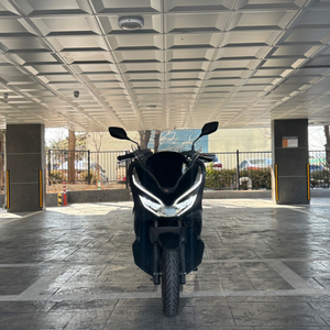 혼다 pcx125 19년식 (준수한외관,기본정비o)