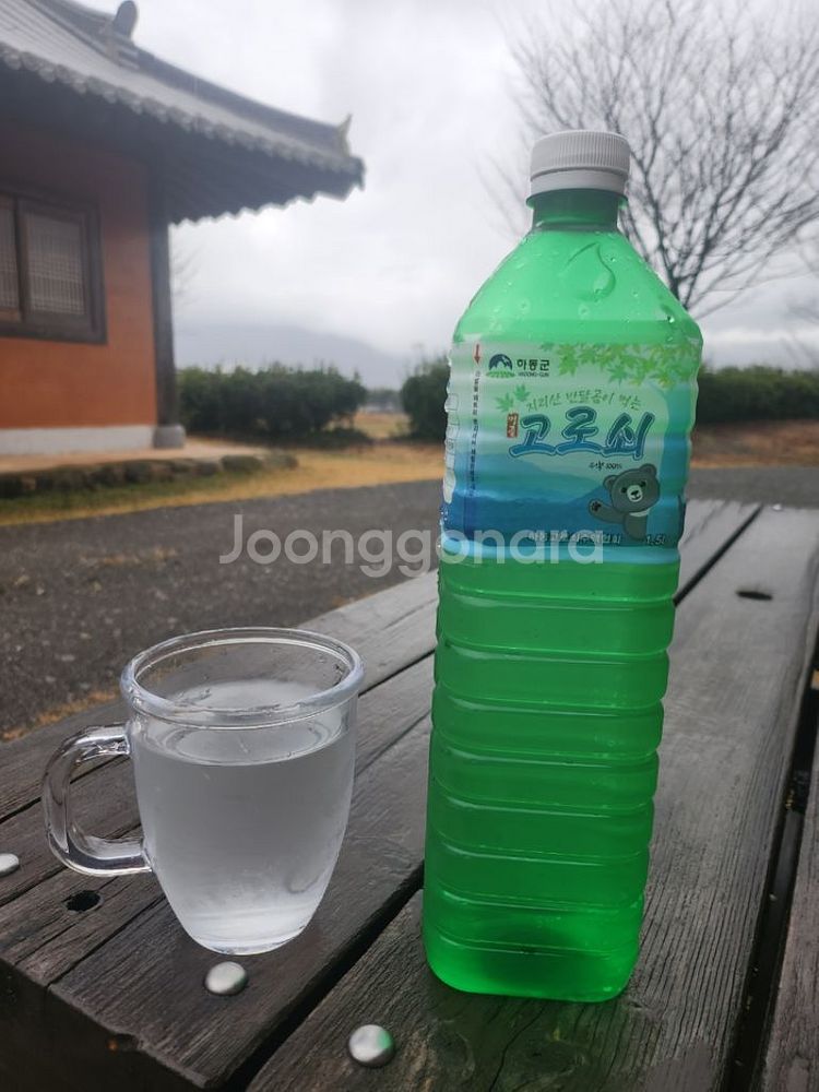 지리산 고로쇠 채취판매!--2