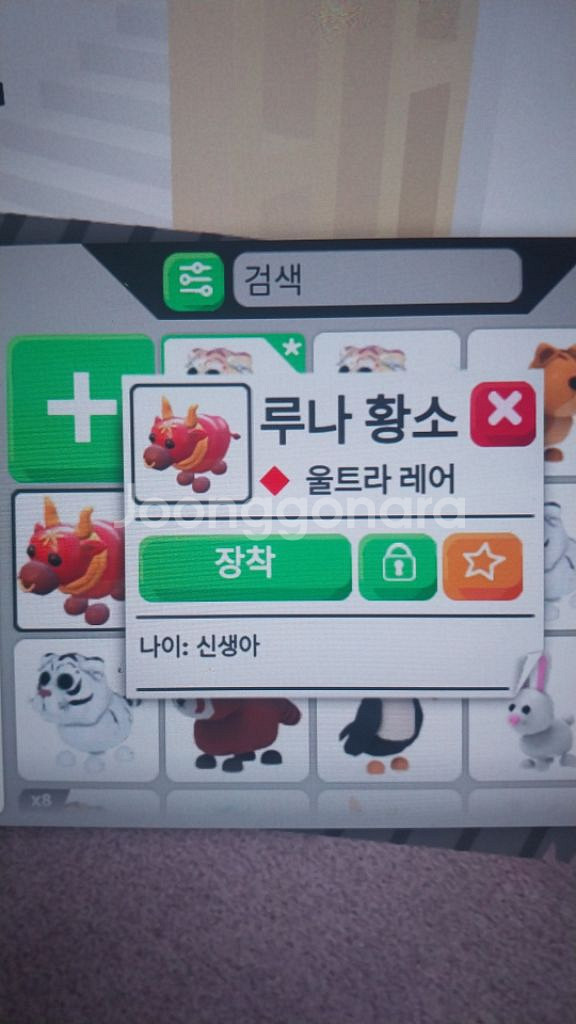 입양하세요 펫 판매합니다--2