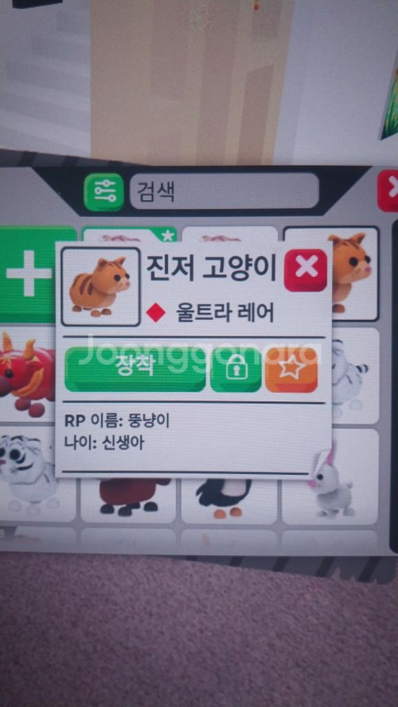입양하세요 펫 판매합니다--1