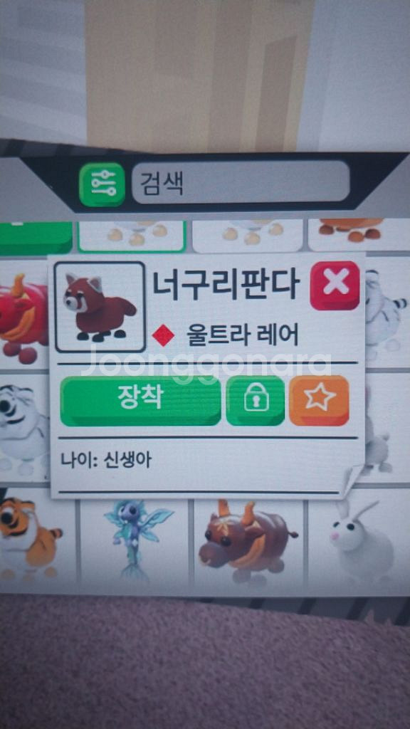 입양하세요 펫 판매합니다--4