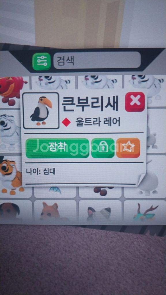 입양하세요 펫 판매합니다--5
