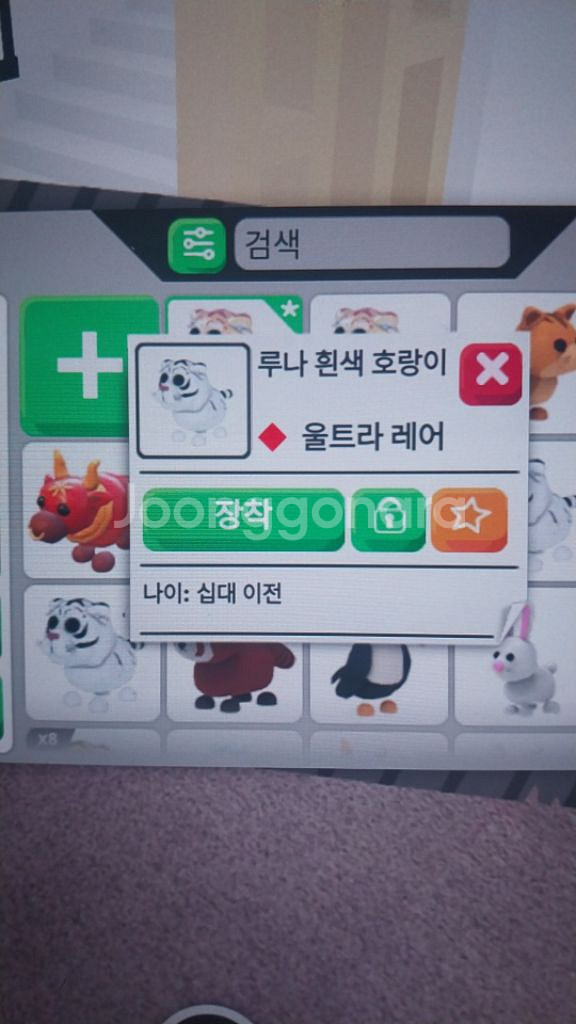 입양하세요 펫 판매합니다--3