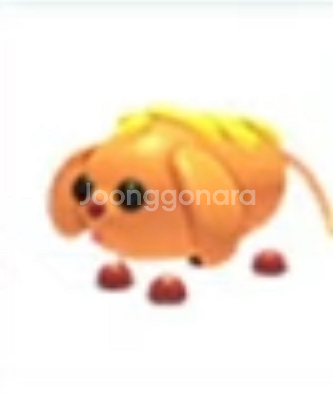 40으로 입양하세요 주류 펫들 구해요--0