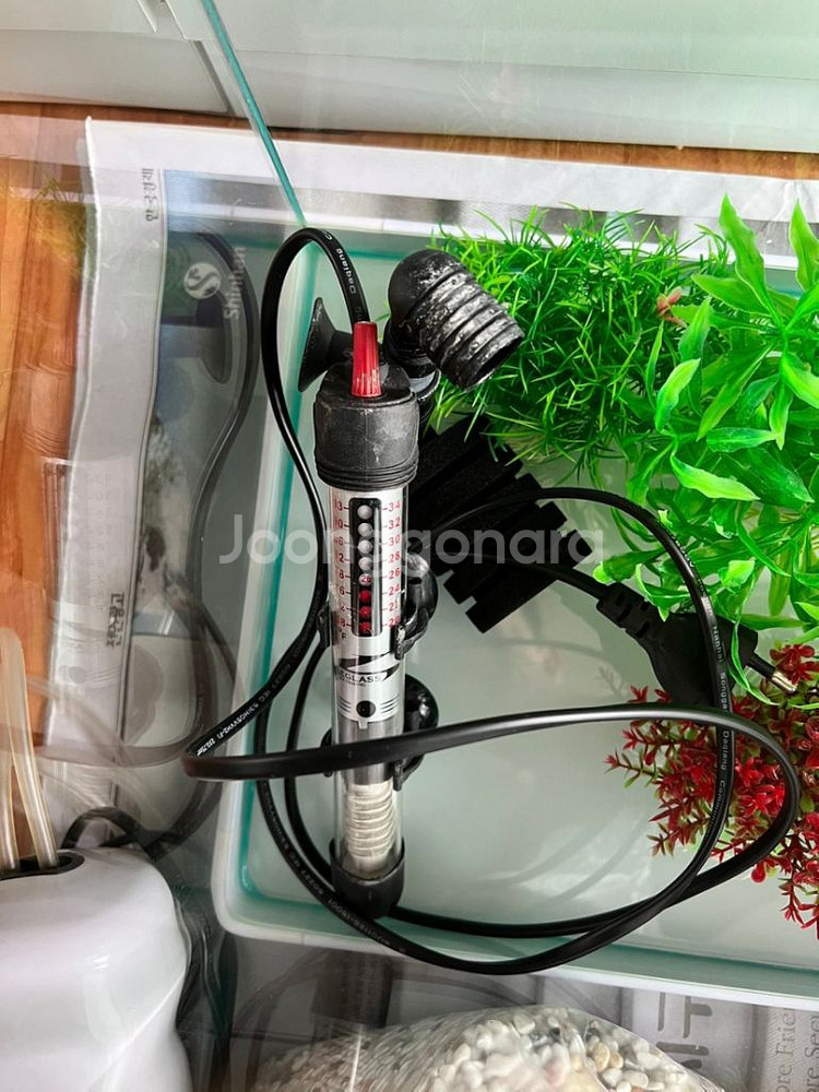 물고기 어항 및 각종용품 세트로 판매합니다!!--2