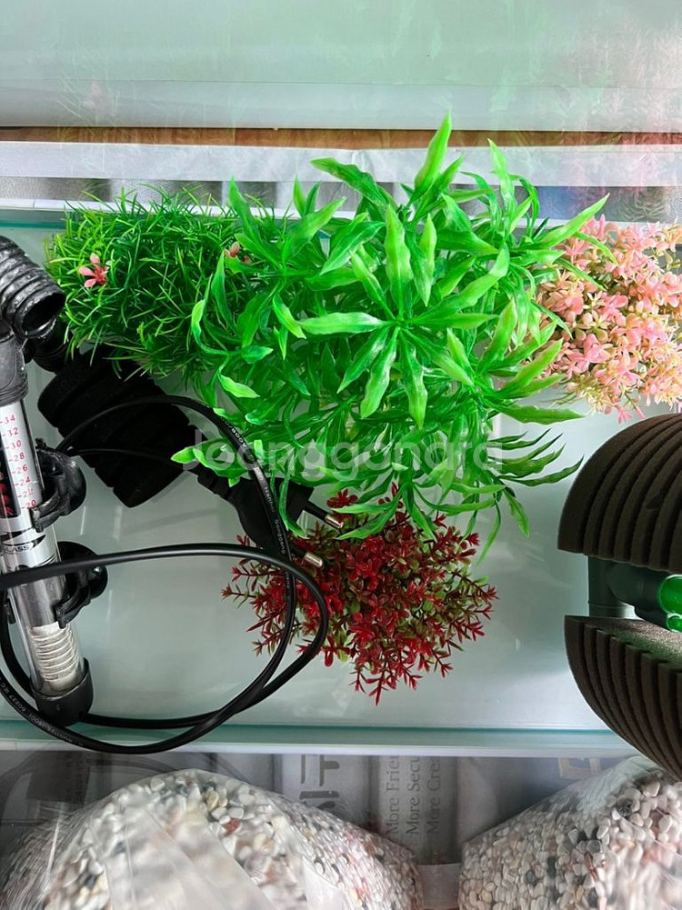 물고기 어항 및 각종용품 세트로 판매합니다!!--4