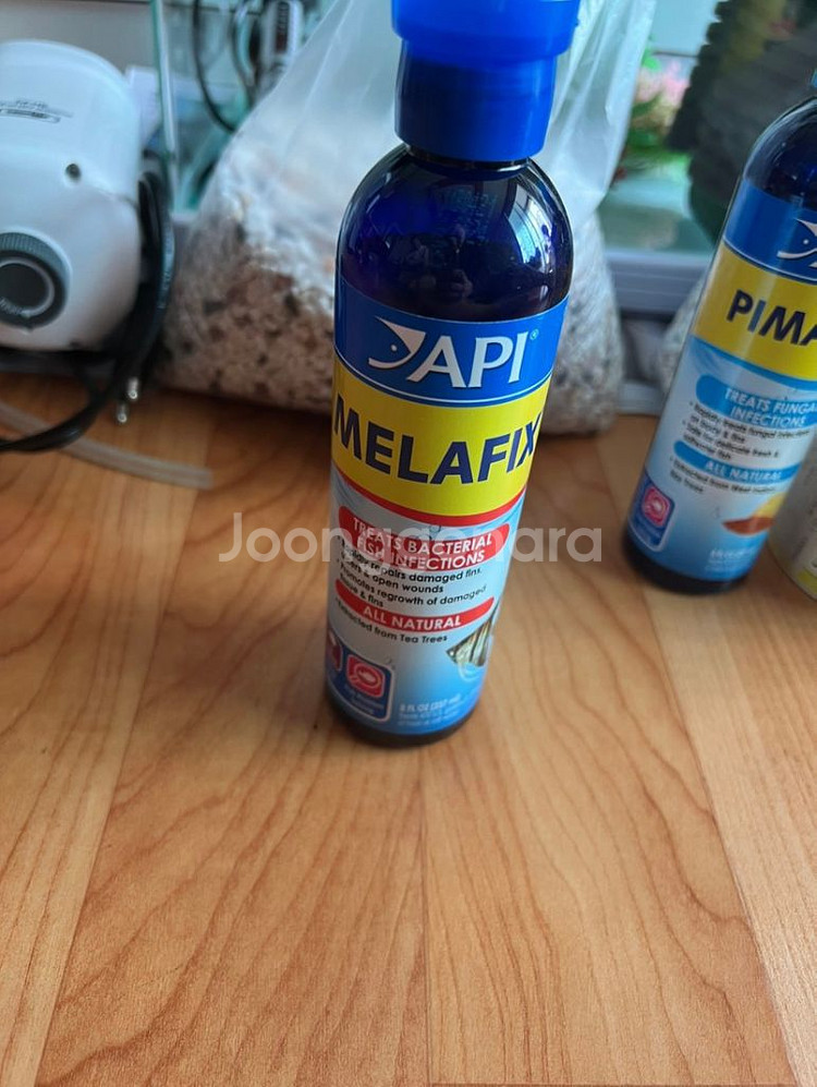 물고기 어항 및 각종용품 세트로 판매합니다!!--6