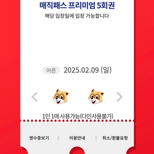 롯데월드 매직패스 2월 9일 5회권, 7회권