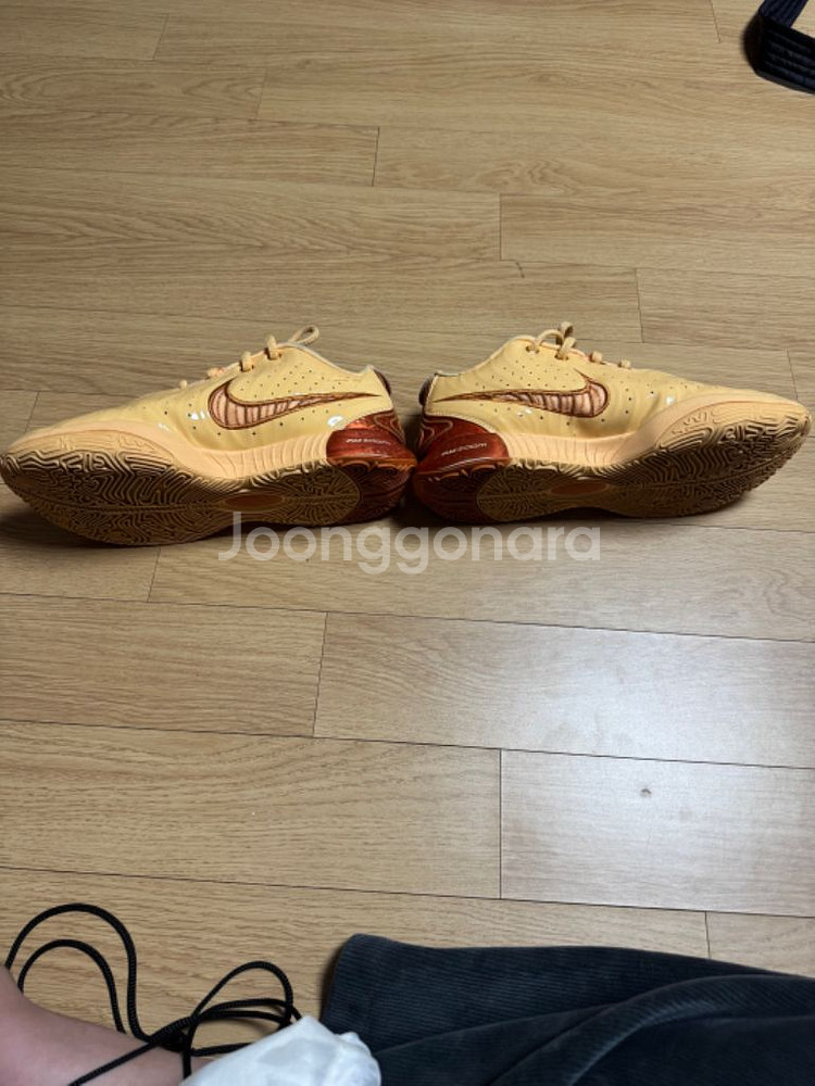 르브론 21 드래곤 펄 275--2
