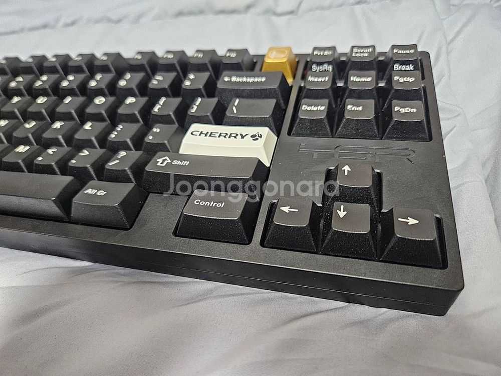 TGR Jane v2 Ce 카피 커스텀 키보드 팝니다.--1