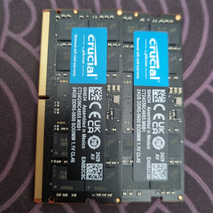 크루셜 DDR5 5600 노트북 램 24gb 2장