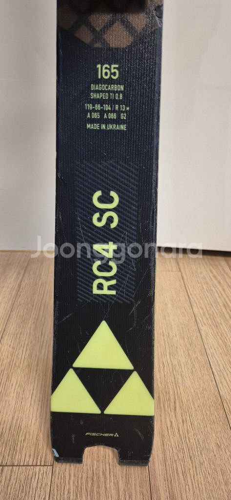 스키, 스키판, 플레이트--3