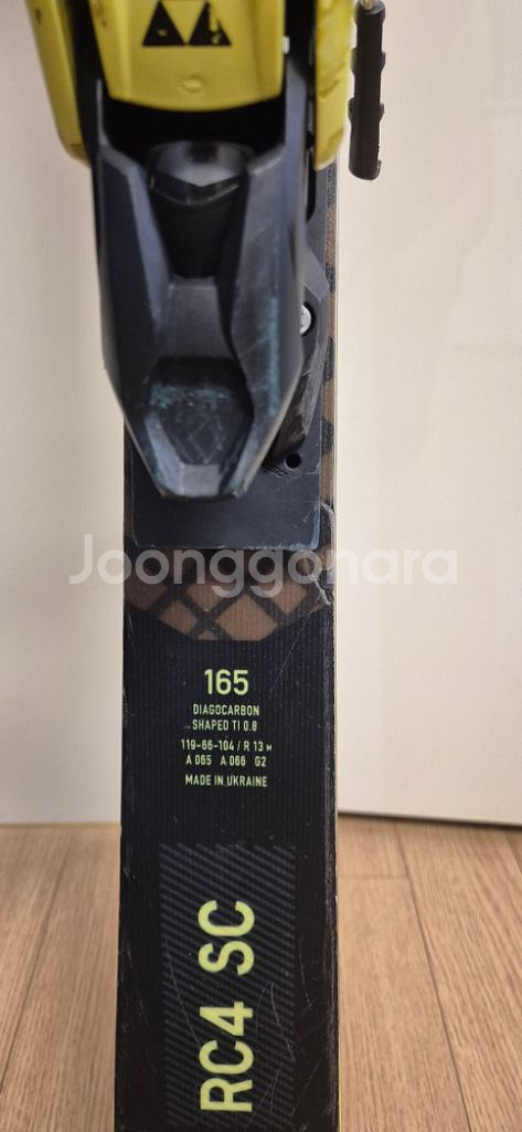 스키, 스키판, 플레이트--2