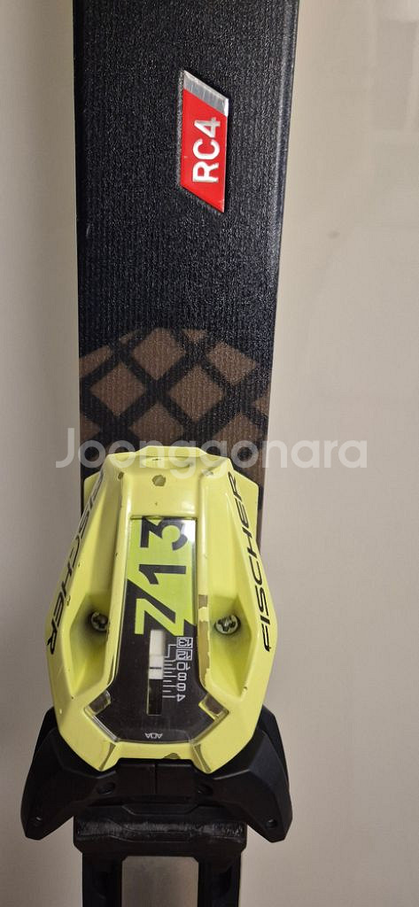 스키, 스키판, 플레이트--1