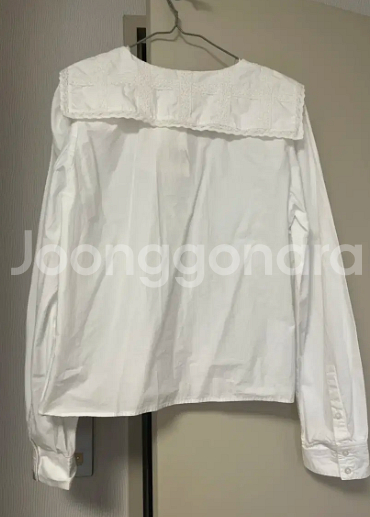 자라 빅카라 셔츠 블라우스--2