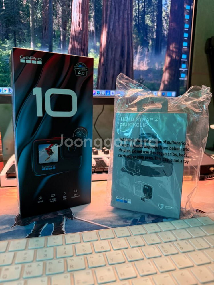 Gopro Hero 10 고프로 히어로 10 블랙 신동--1