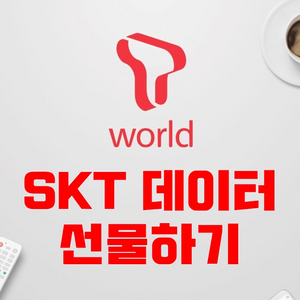 SKT 데이터 2GB