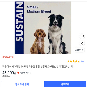 벳플러스 서스테인(48포)