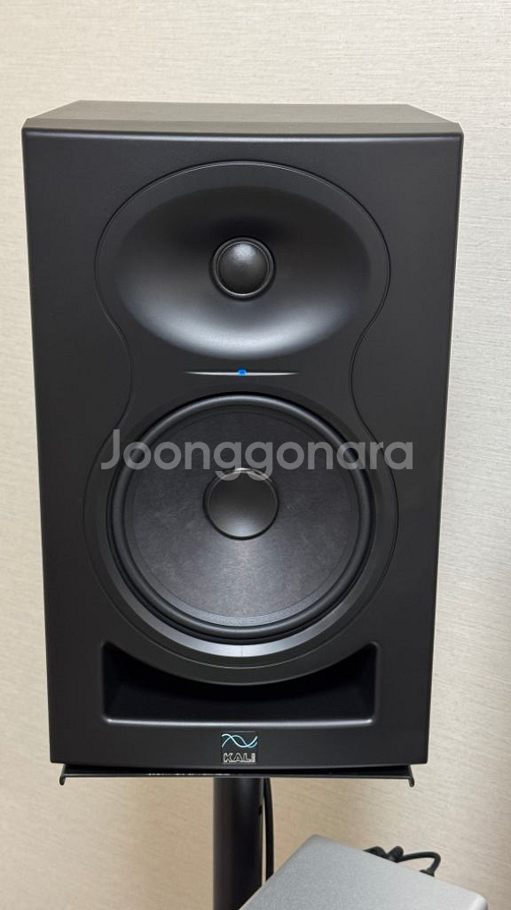칼리오디오 LP6 v2 판매합니다.--1