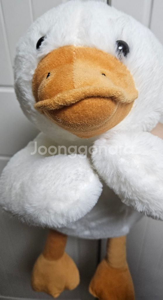 50cm 오리 애착인형--1