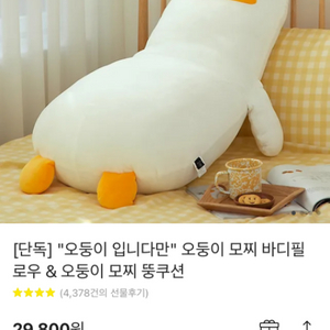 오둥이 바디필로우