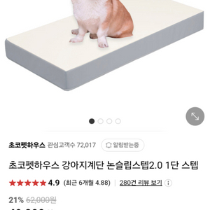 강아지 계단