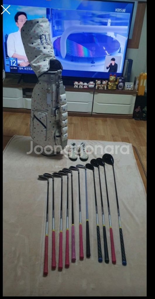 여성용골프채 +골프백+235골프화--7