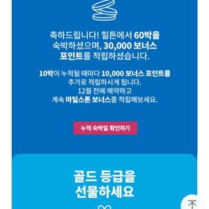 힐튼 골드등급 판매