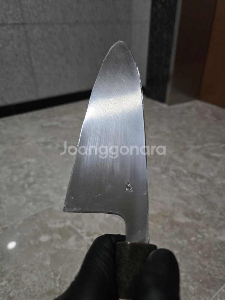 사카이 타카유키 은삼강 혼데바 210mm--8