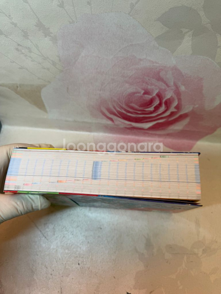 포켓몬스터 오메가루비 알파사파이어 공식가이드북 완전스토--5